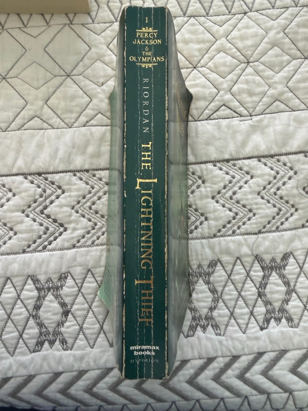 The Lightning Thief by Rick Riordan - Green Cover, Yellow Accent - Picture 3 of 3